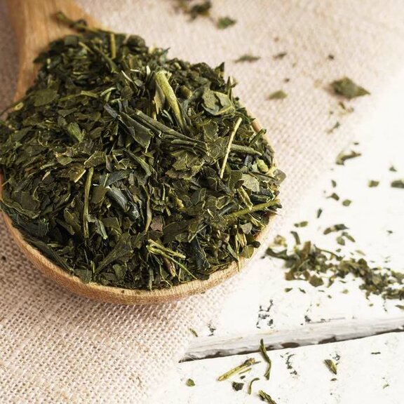 mesepices-the-vert